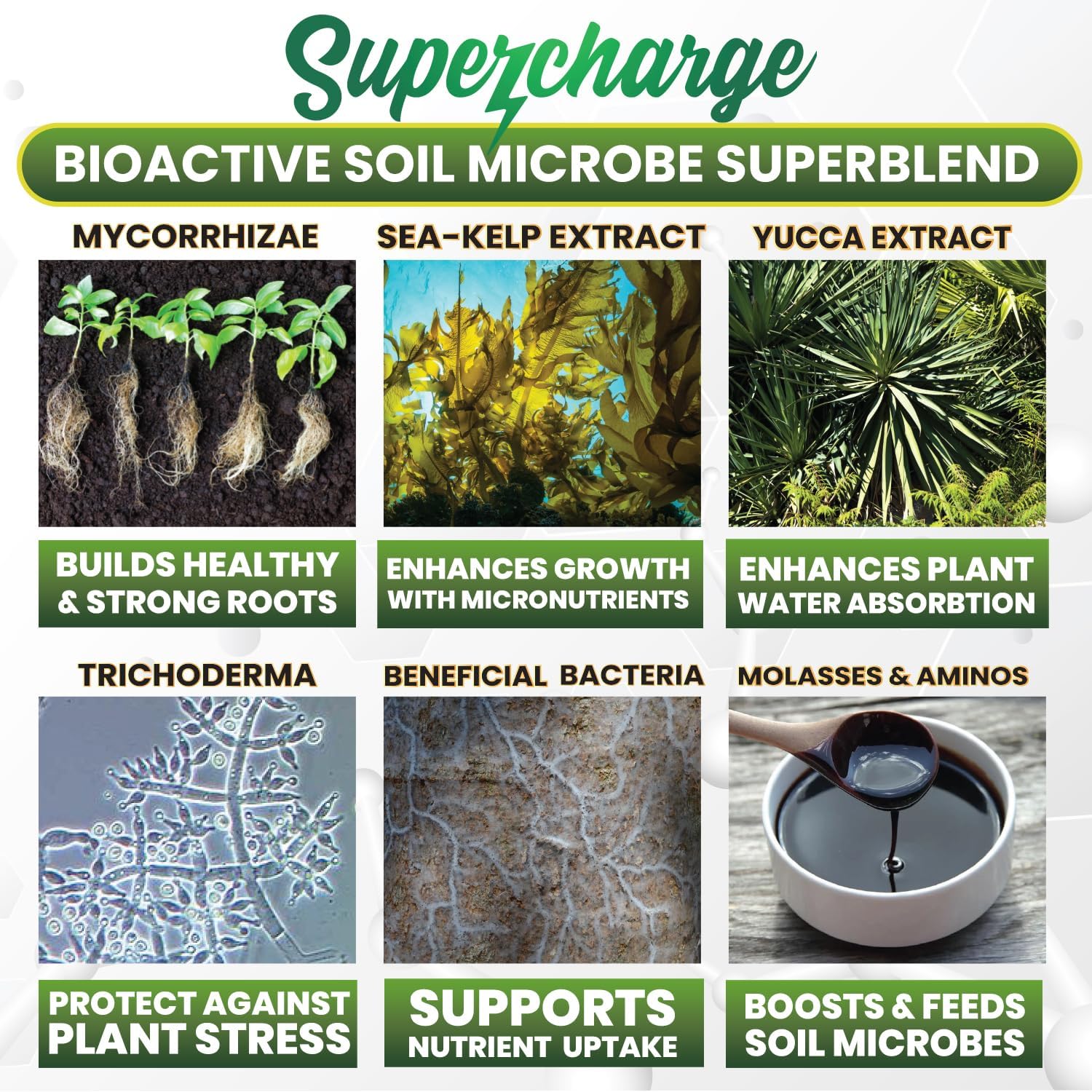 branding for Smart Grower Supercharge product