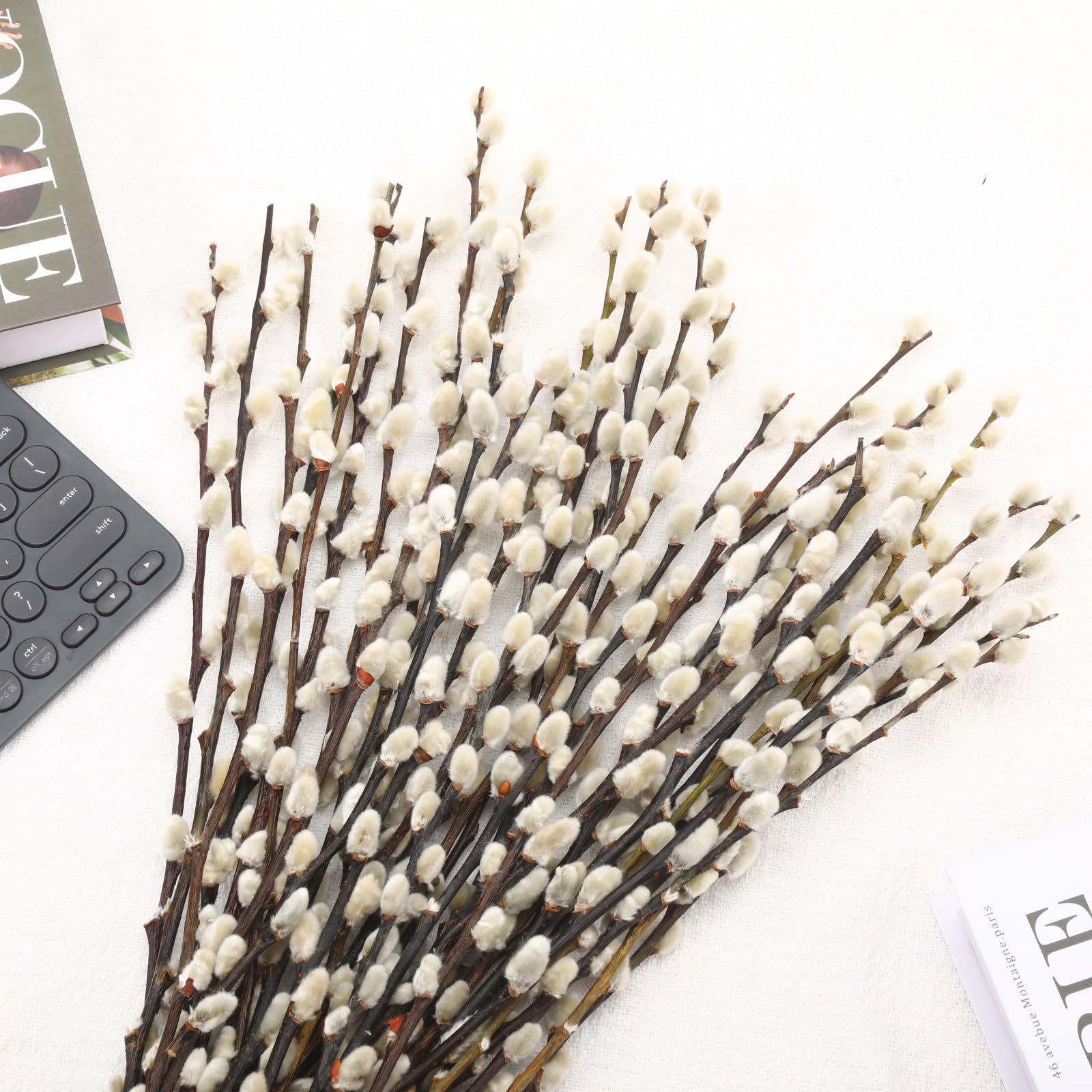 Snow PussyWillow branches preserved for indoor outdoor decor