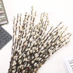 Snow PussyWillow branches preserved for indoor outdoor decor