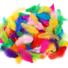 Soarer color 12 colors feathers 3-5 inch size for crafts