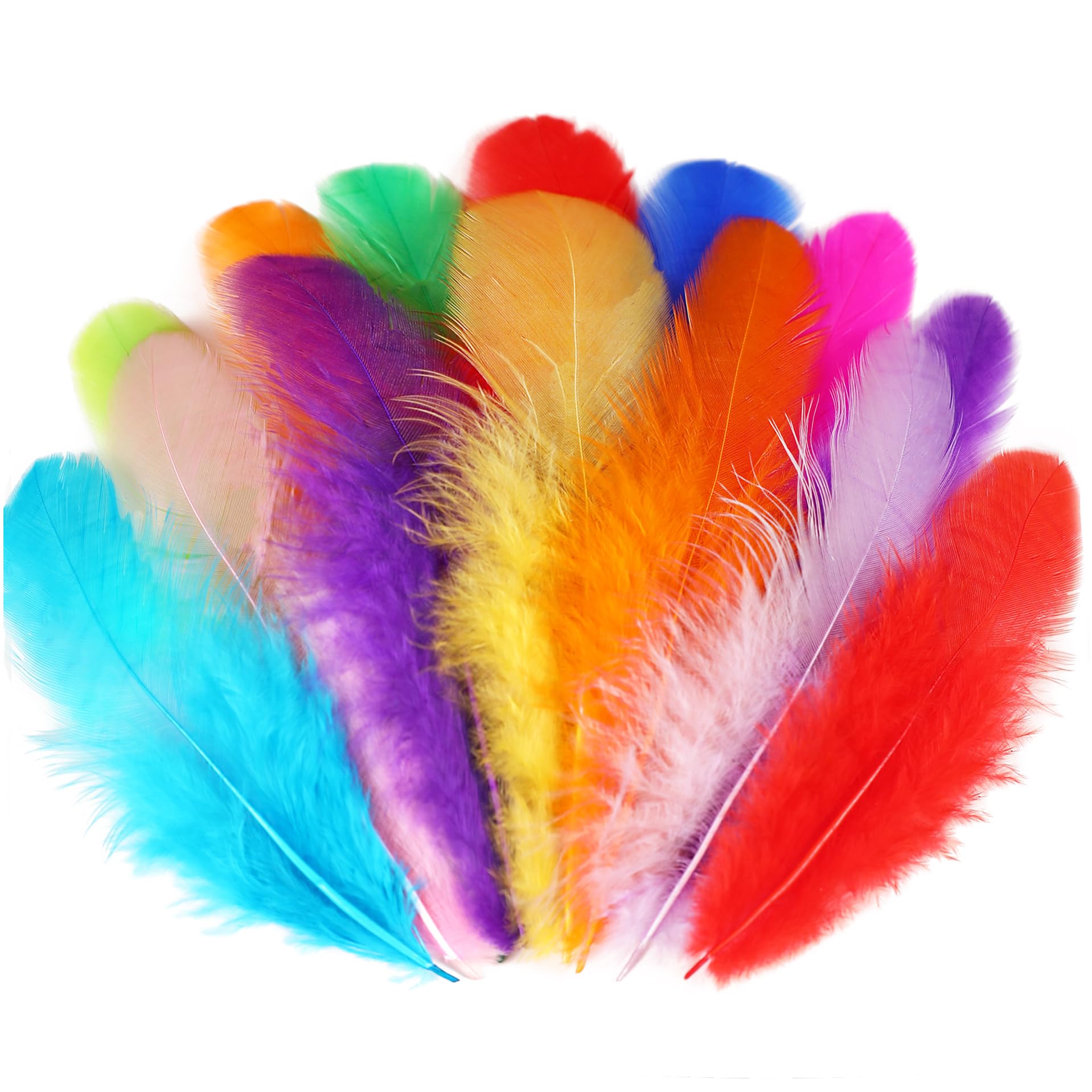 Soarer feathers bulk crafting assorted colors for DIY projects