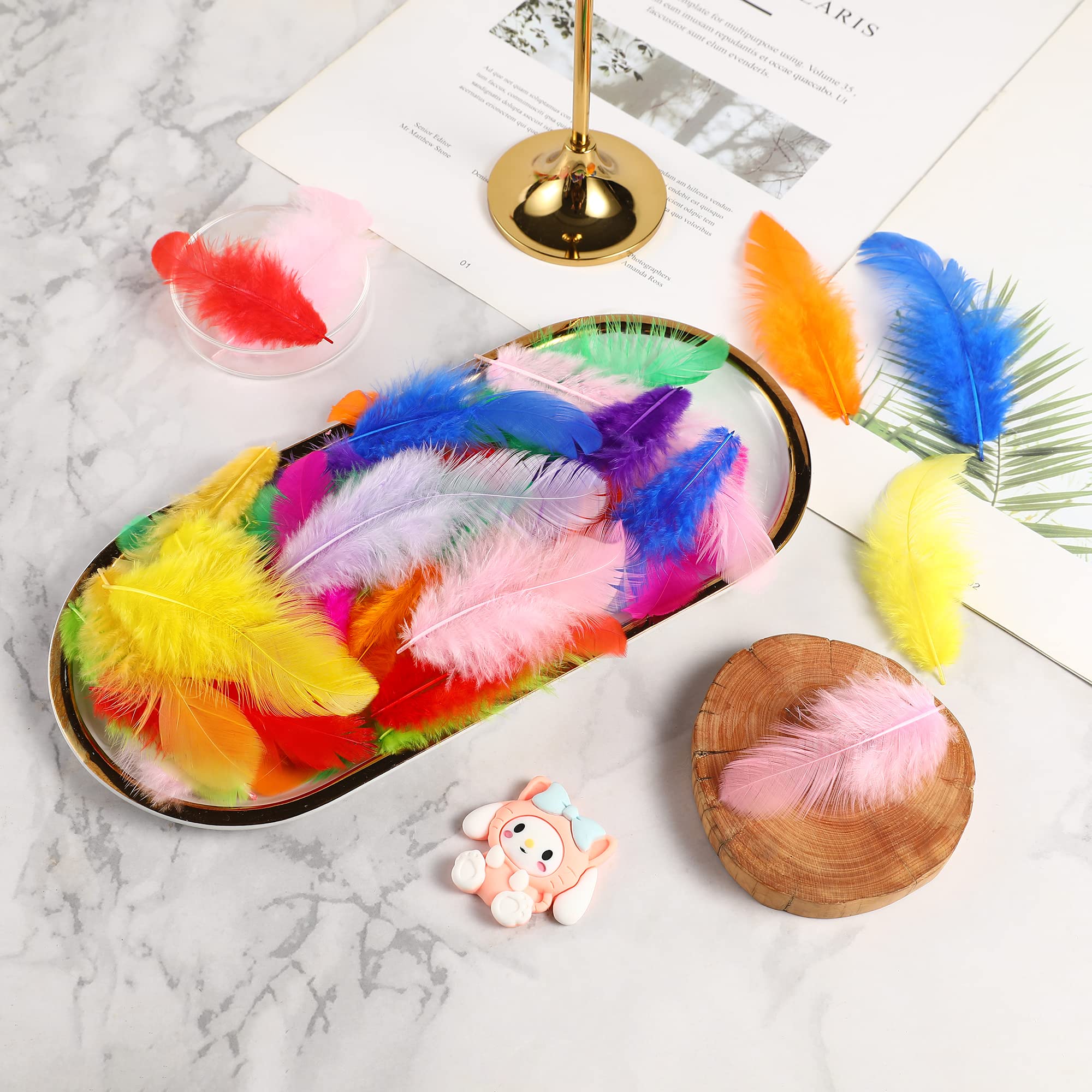 Soarer packaging of feathers for craft and decoration