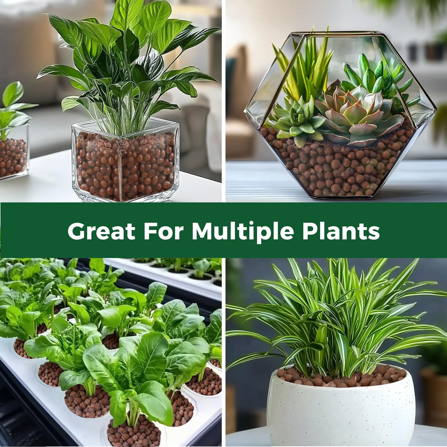 Indoor and outdoor plant use clay pebbles