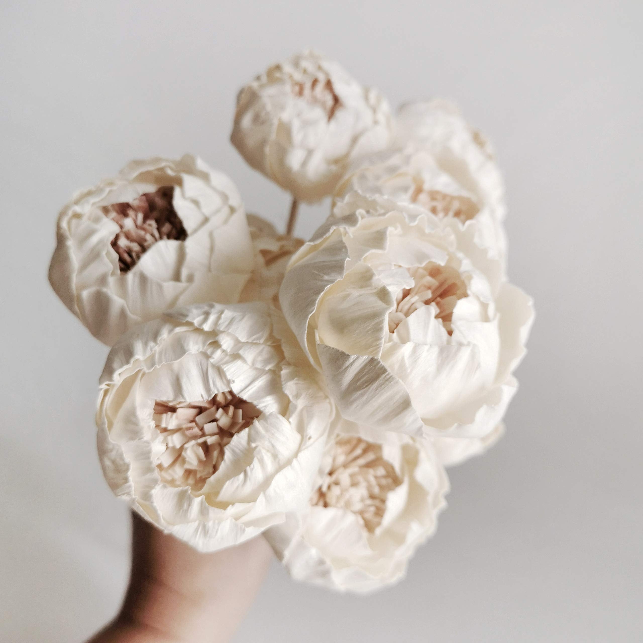 Sola Flower head and reed stick for decor and aroma