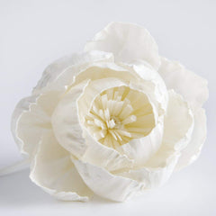 sesbania wood sola flower natural material