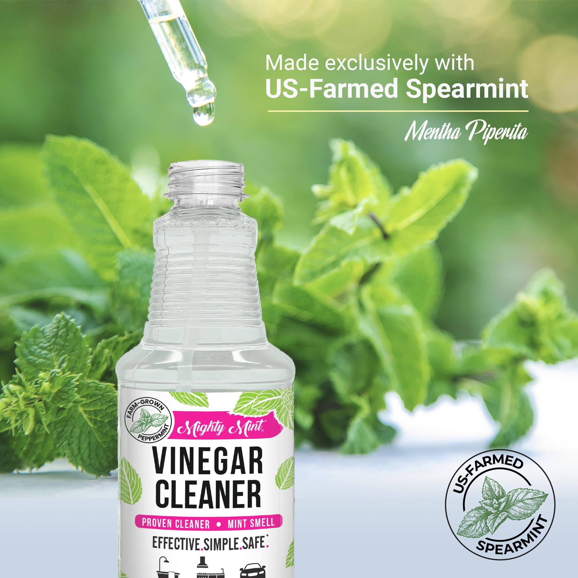 Spearmint oil ingredient highlight