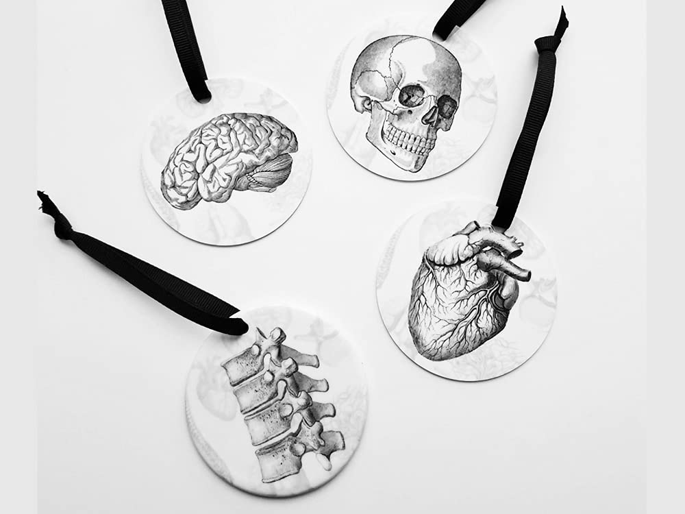 Spine Ornament 2.75 inch diameter with black ribbon