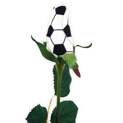 Sports Roses Soccer Rose with 18 inch stem
