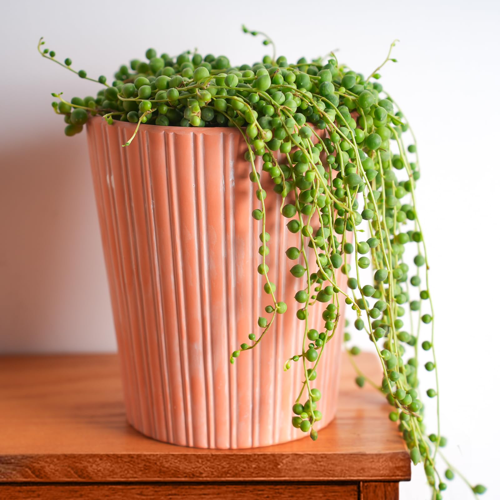 Valentine's Day or Mother's Day gift idea featuring Sprout N Green String of Pearls