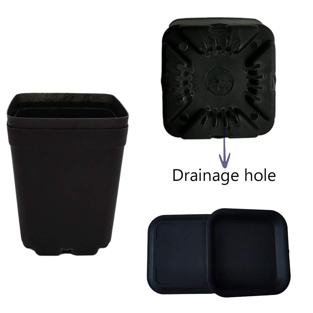 Square plastic plant pot 3 inch black for small plants