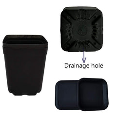 Square plastic plant pot 3 inch black for small plants