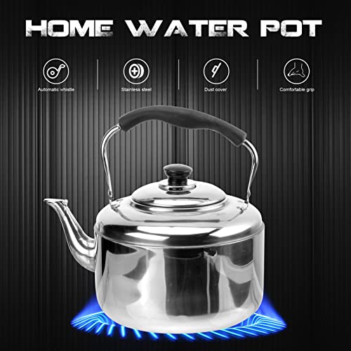 Whistling stainless steel tea kettle with loud whistle