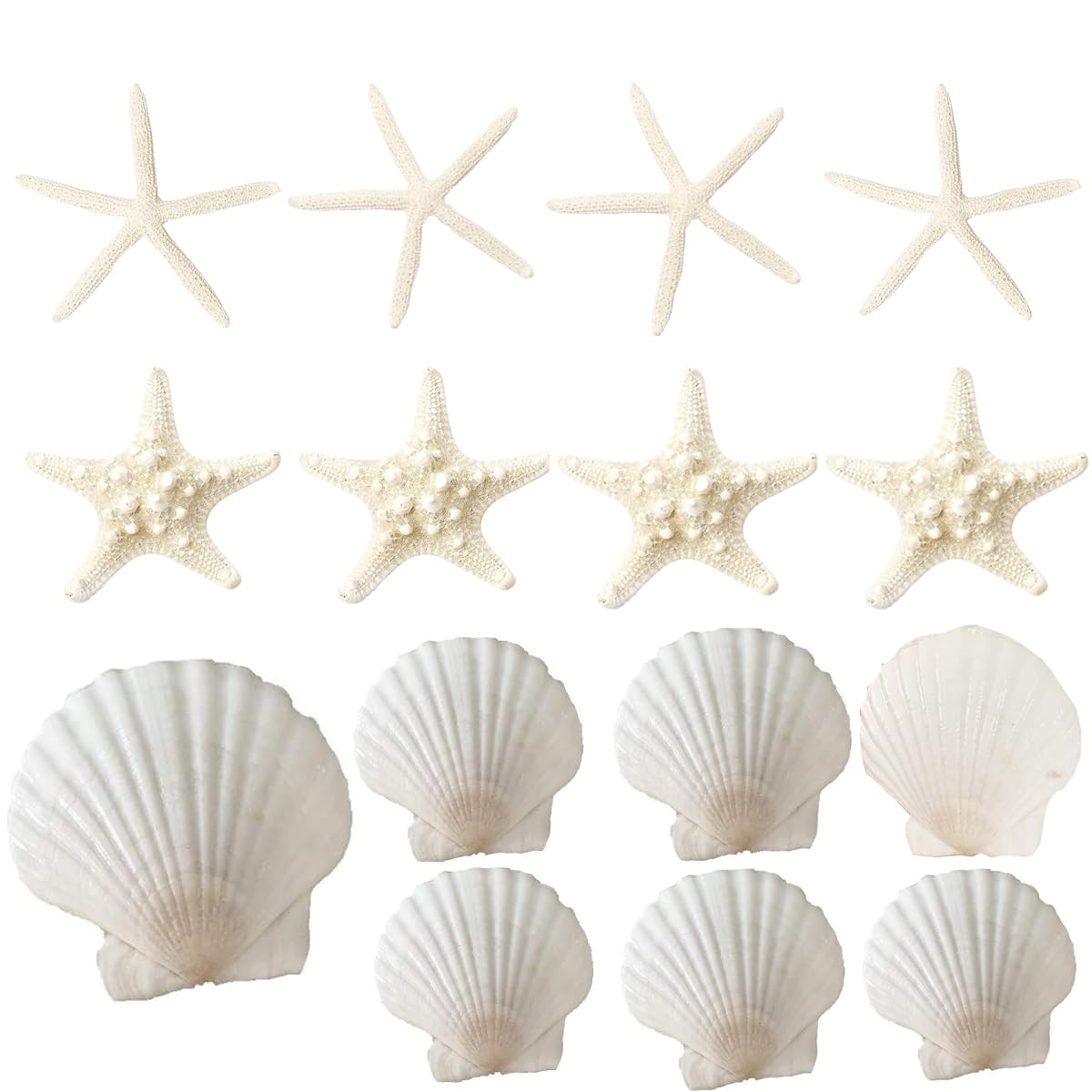 Starfish and scallop shell set 15 pieces including white finger starfish and armored starfish