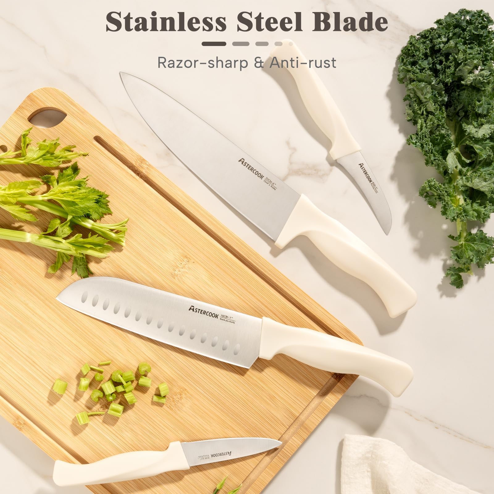 Kitchen and poultry shears with Astercook set