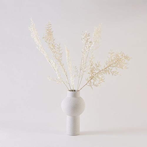 stems length 18-24 inches display