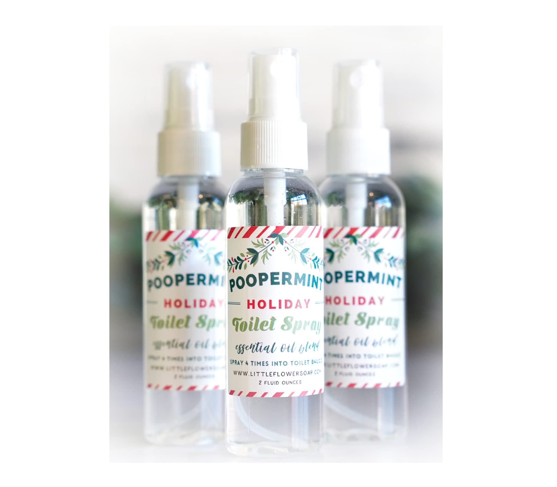 Handmade Michigan Poopermint Potty Spray
