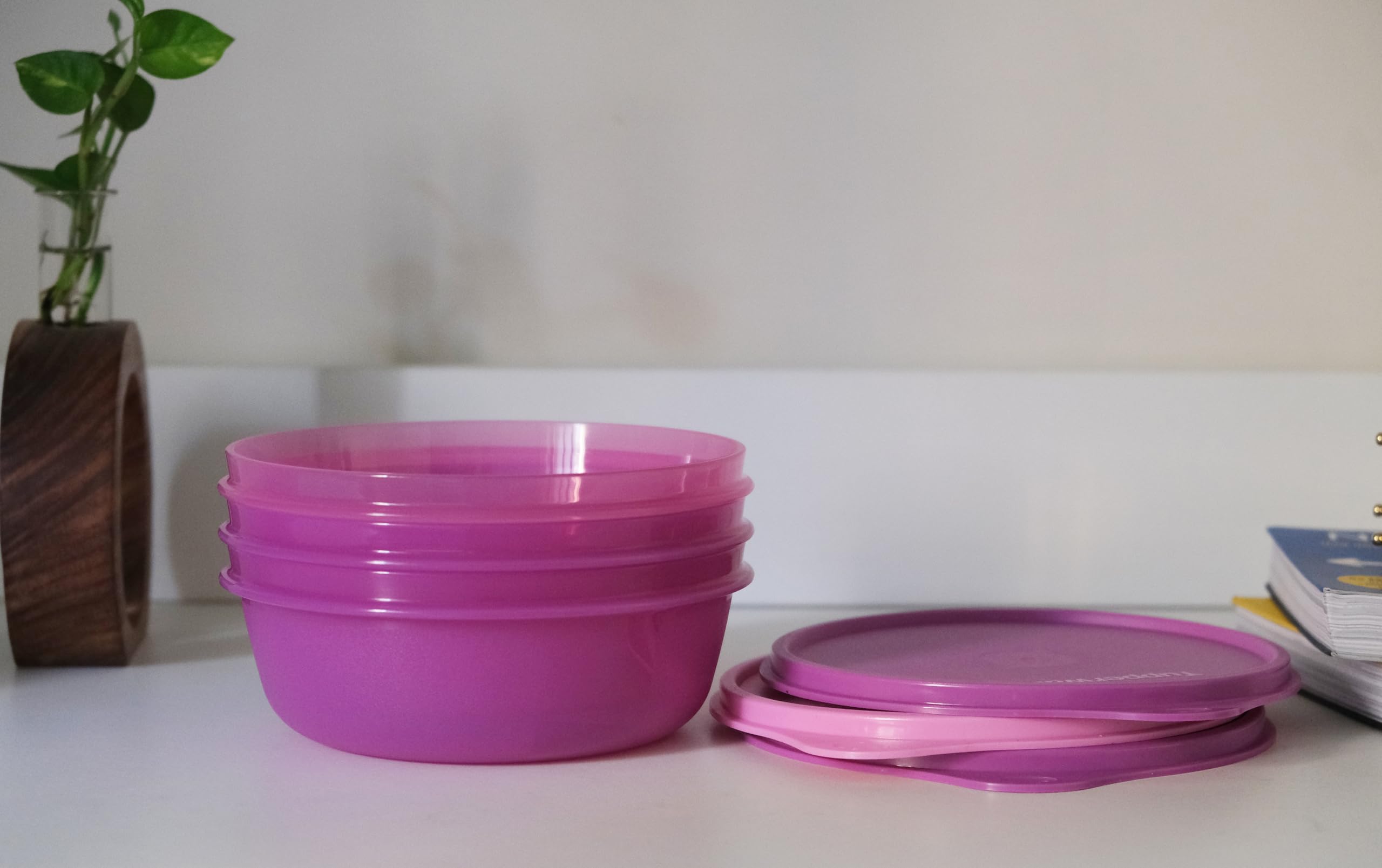 compact storage for office or school lunches