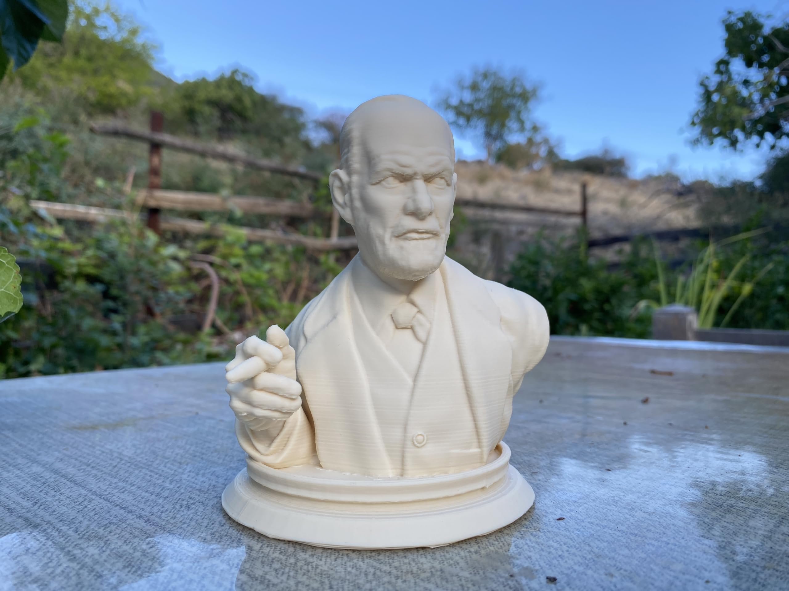 Freud bust as a conversation piece