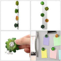 eight styles succulent magnets for fridge decor