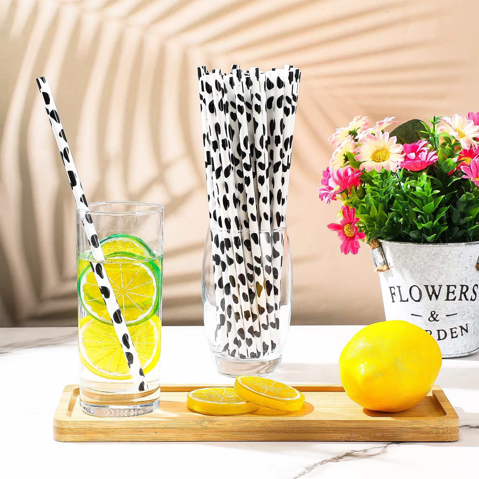 2 cleaning brushes with straw set