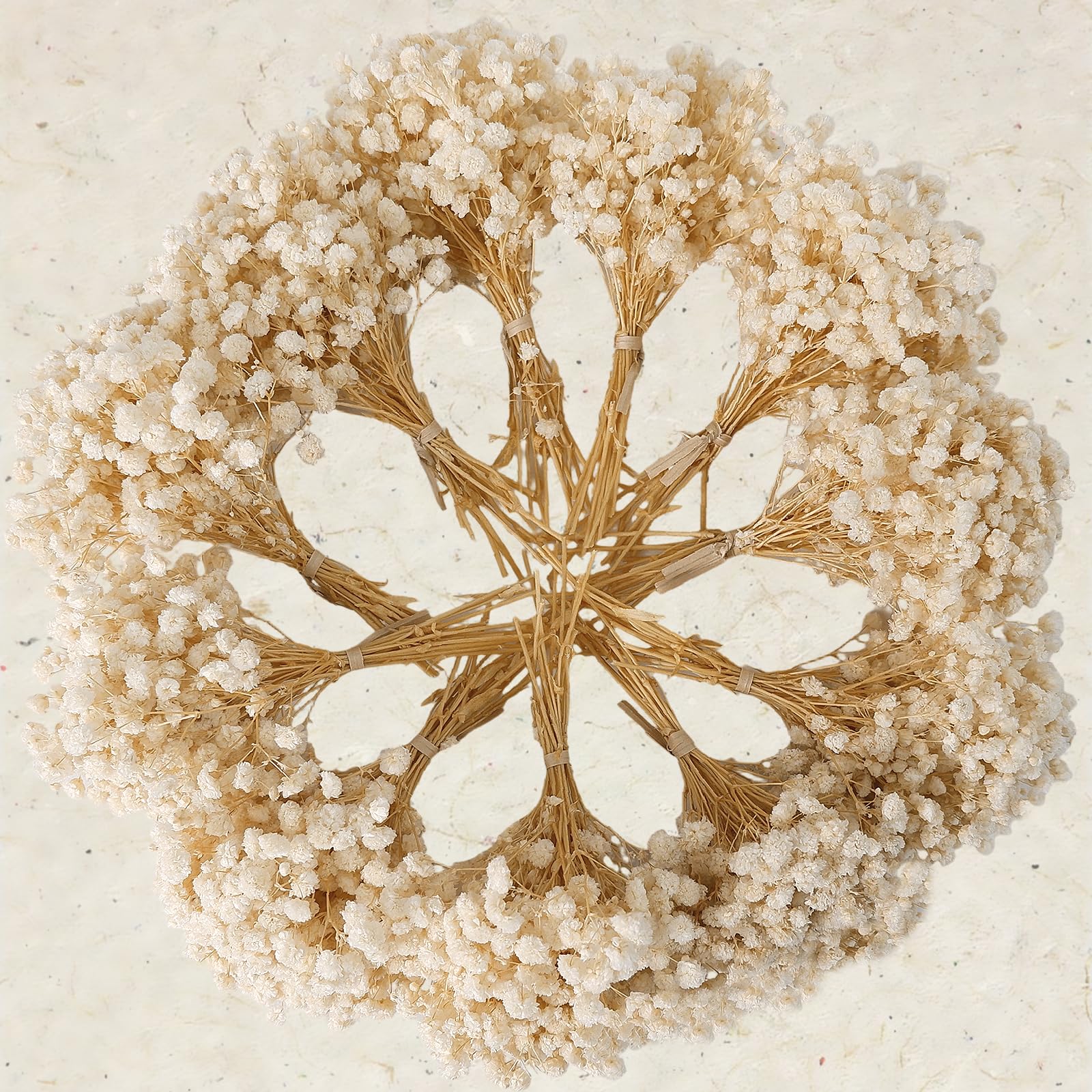Sun refresh tip for compressed dried babys breath bouquets