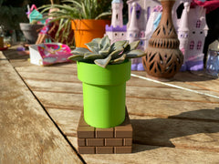 Flower pot variant on desk with small plant