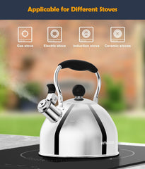 SUS304 BPA free tea kettle with mirror finish