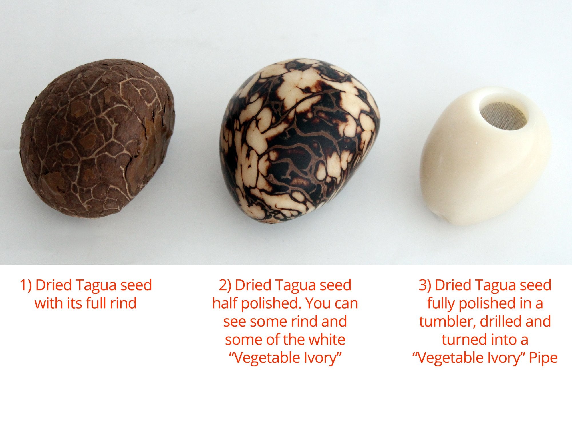 All natural Tagua pipe made from Tagua seeds