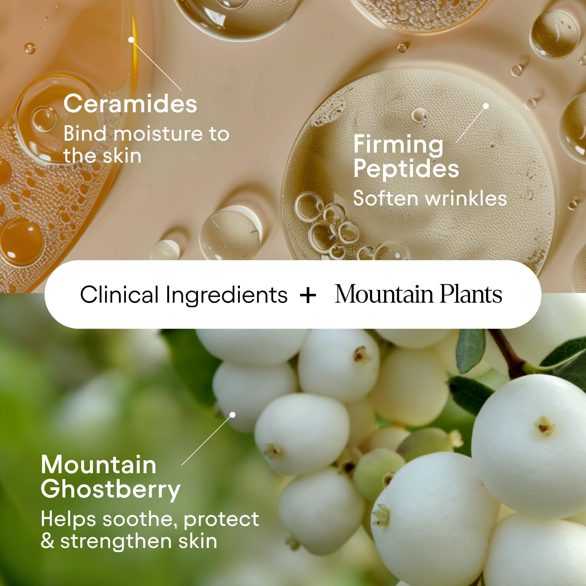 Tasmanian Pepper ingredient reference on packaging