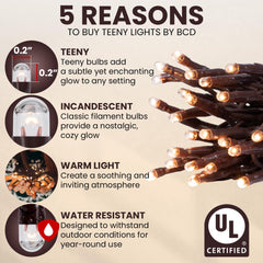 Teeny Lights 50Ct Brown string lights brown cord setup