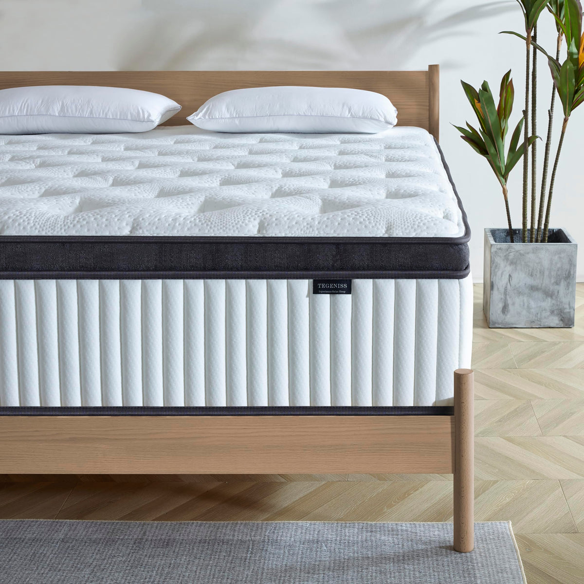 Tegeniss Queen Mattress in a box