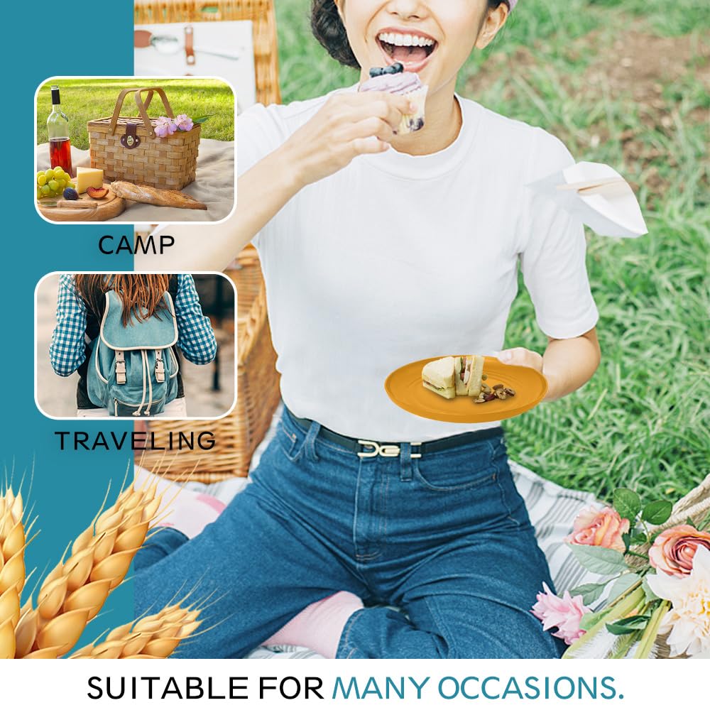 Teivio stackable BPA-free wheat straw dinnerware for easy storage