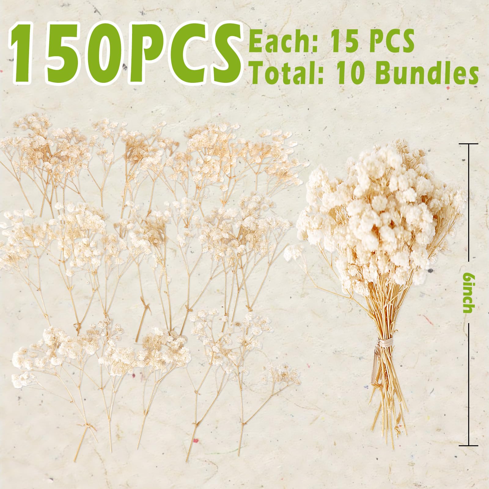 Ten mini bouquets ivory dried babys breath stems