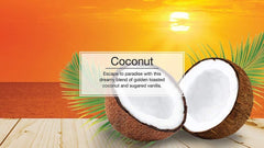 10 Pack Little Trees coconut scent air fresheners