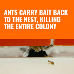 Liquid ant bait Terro indoor use