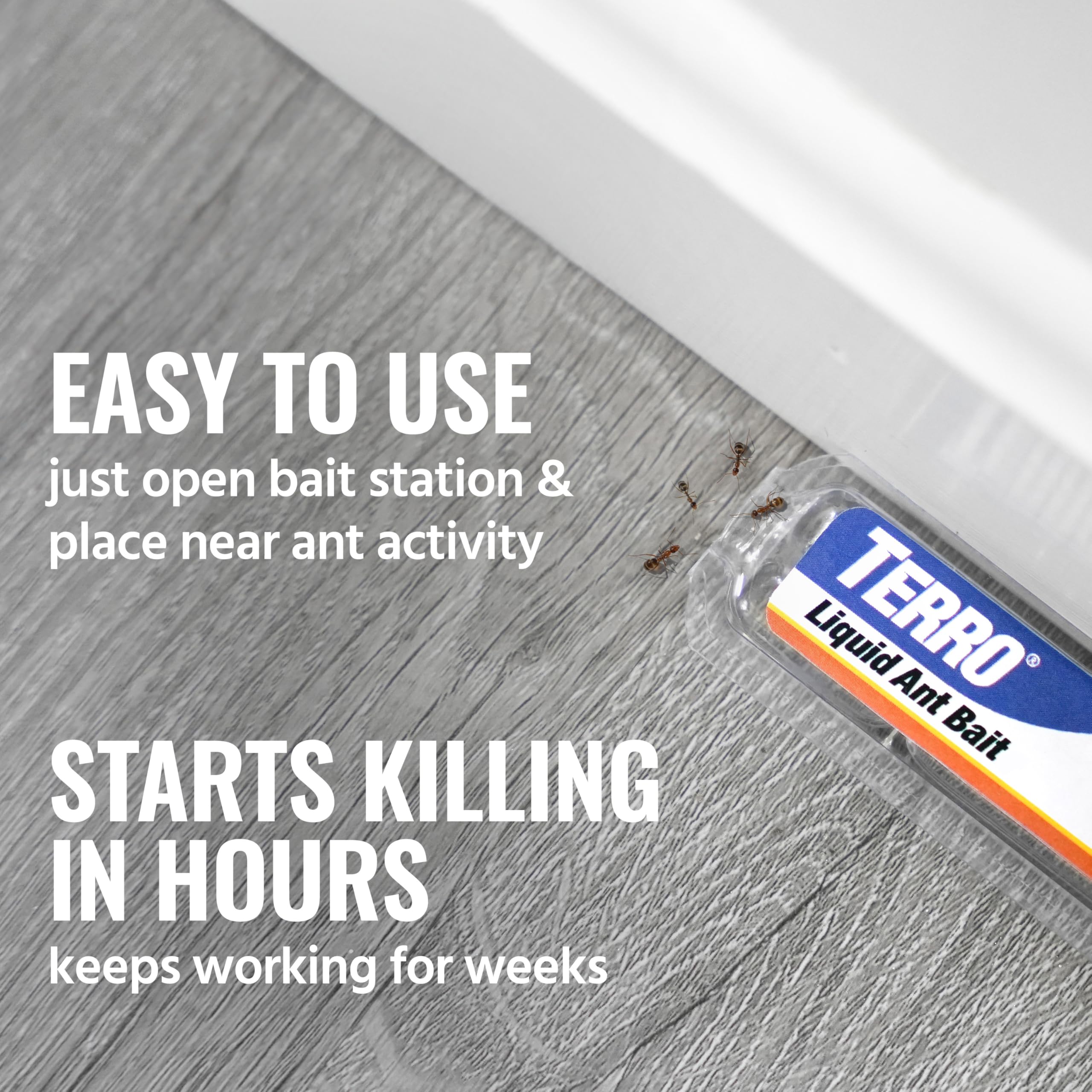 Indoor ant control with TERRO liquid bait