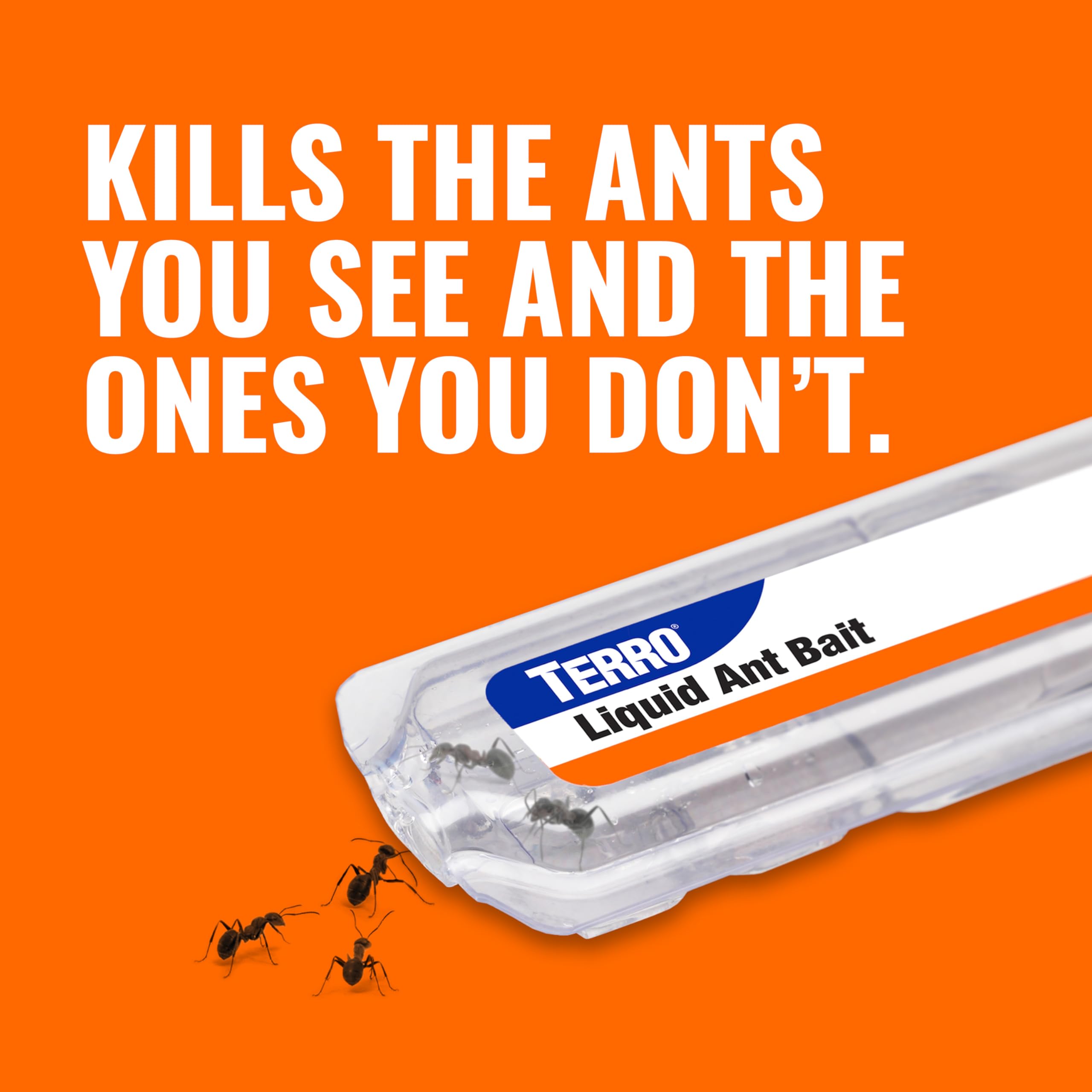 Indoor ant killer bait station by TERRO