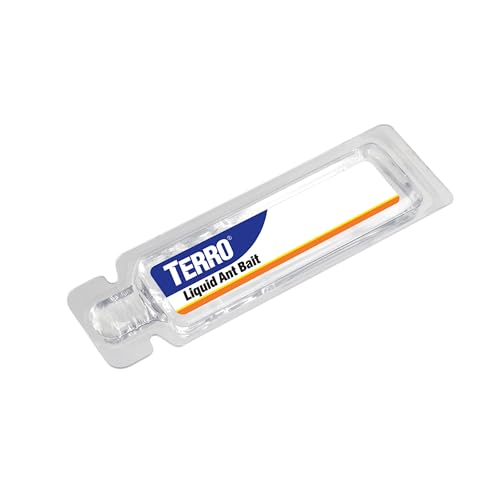 Little black ants bait TERRO