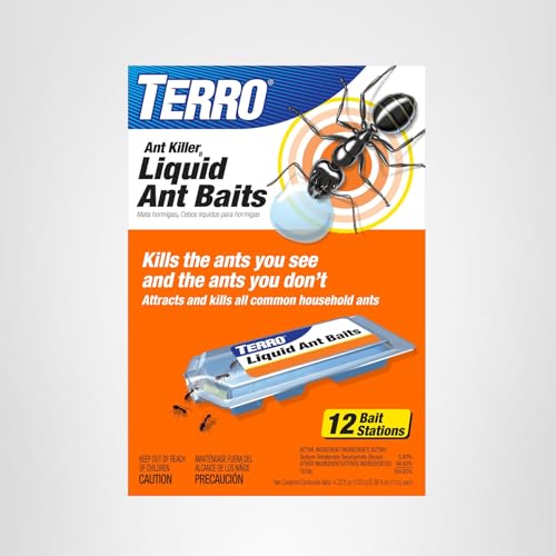 Sweet eating ants bait TERRO indoors