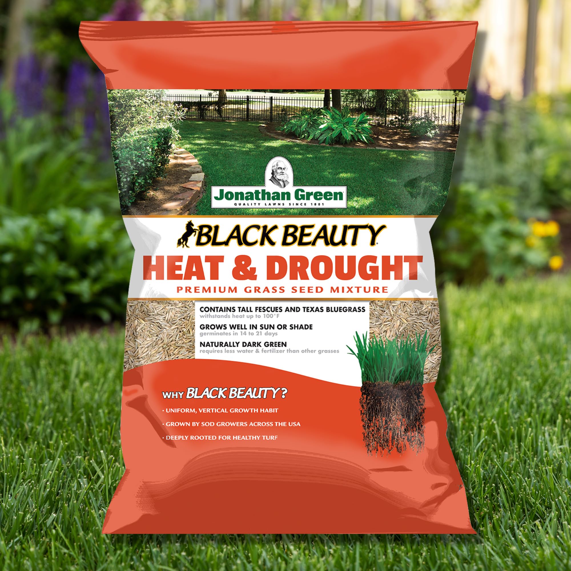 Drought resistant waxy leaf coating grass seed