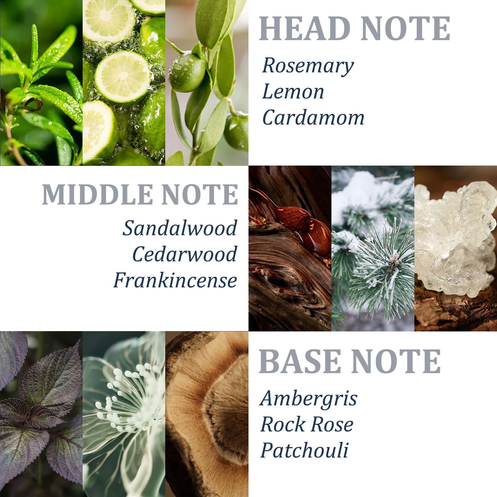 Packaging image of Tgideas rosemary shampoo