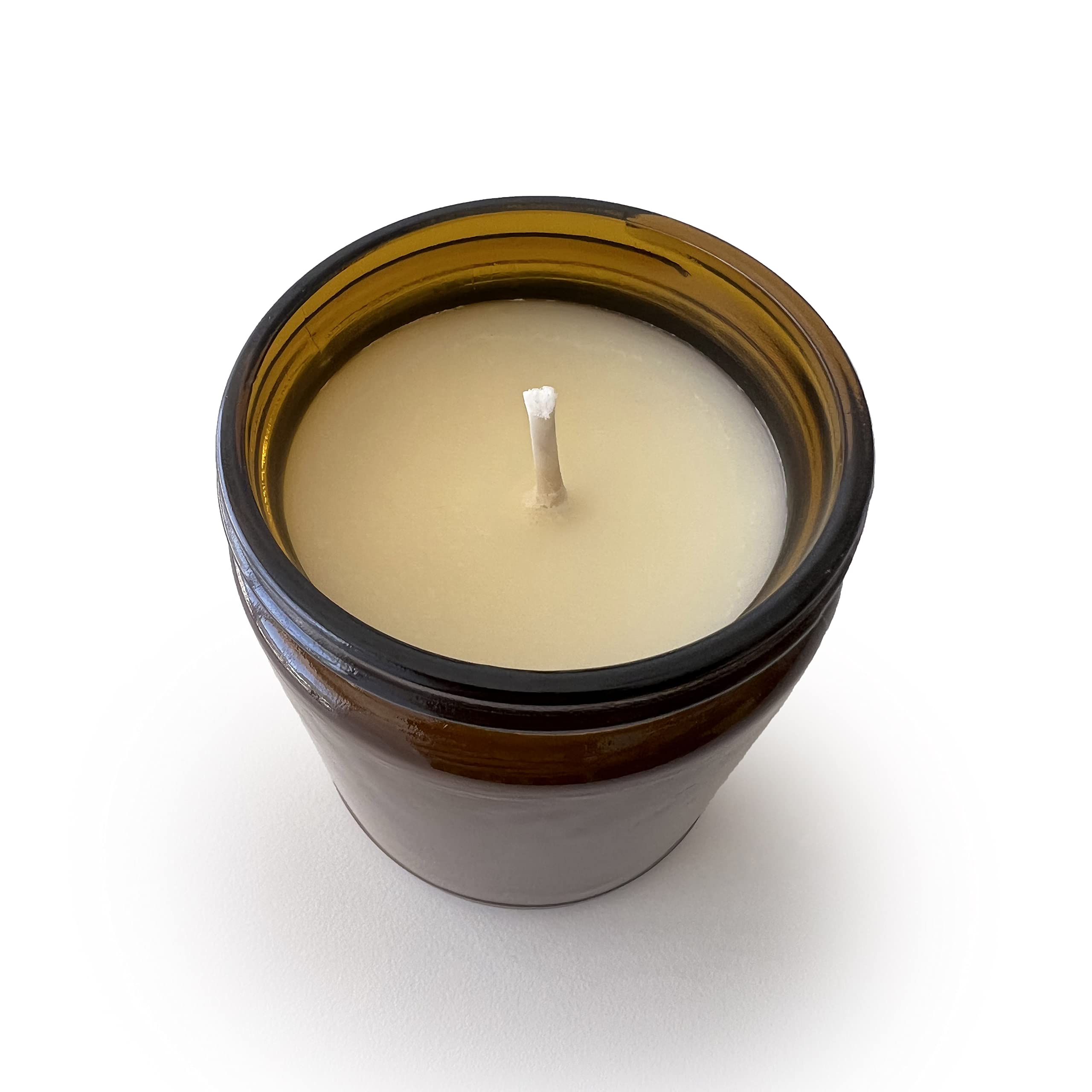 The Burlap Bag Expert Dog Petter 9oz soy candle amber jar lid closeup