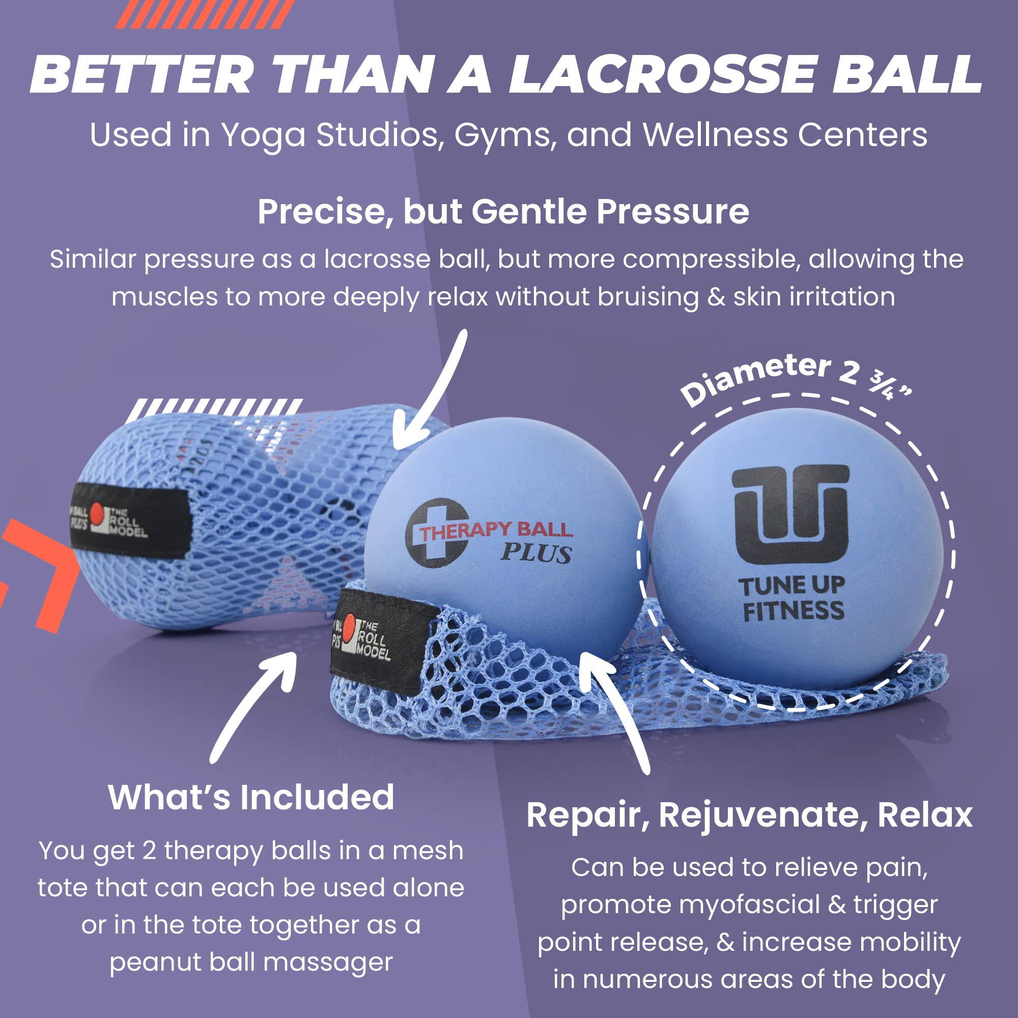 Myofascial release therapy ball pair in tote by Tune Up Fitness