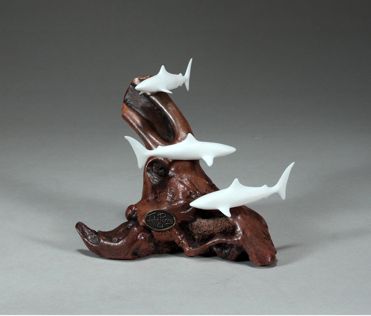 Three sharks coral head display on unique burl background