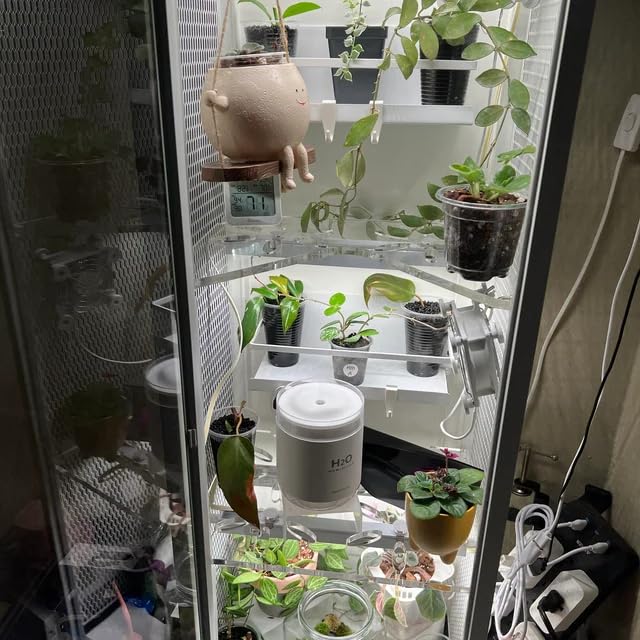 Plant display on clear acrylic shelf