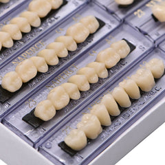 removable jaw feature for science reference