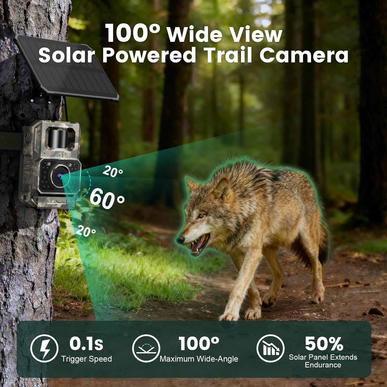 Time-lapse mode feature on MAXDONE trail camera