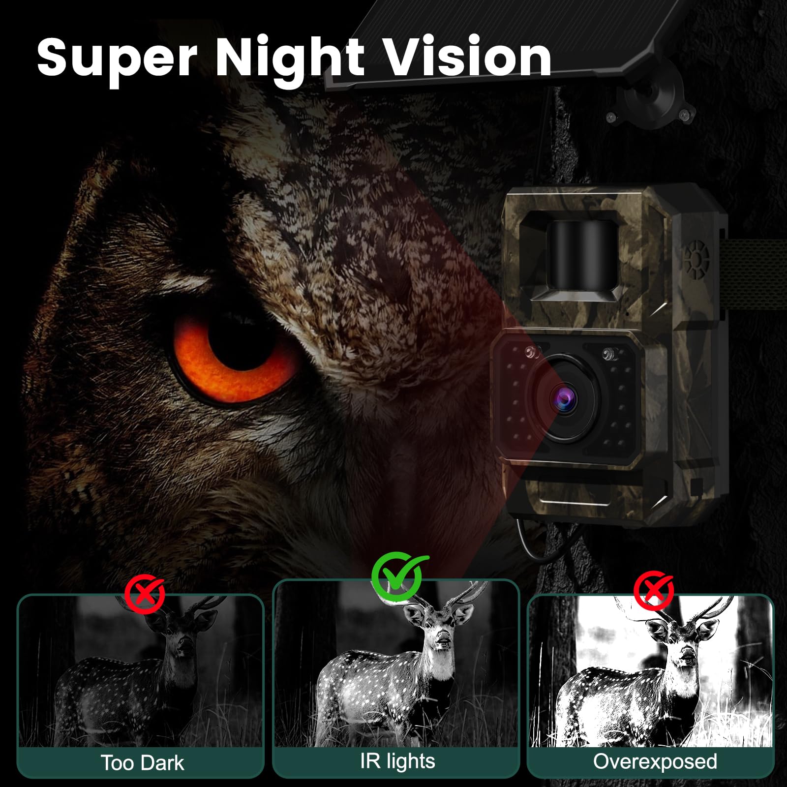 Time stamp and scheduled shooting features with trail camera