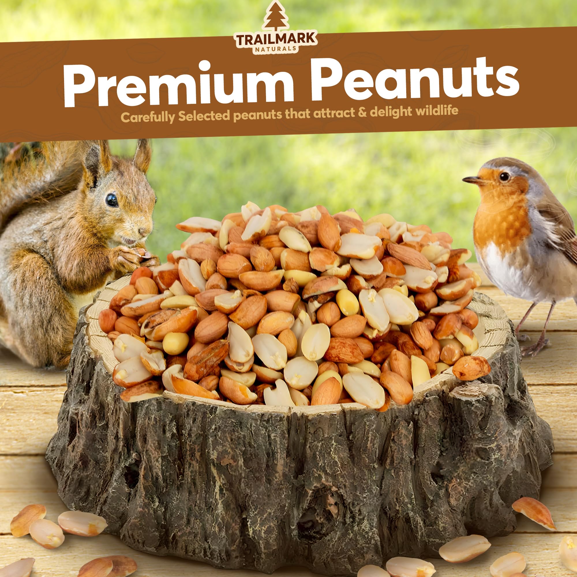 Unsalted raw peanuts for backyard wildlife feeding