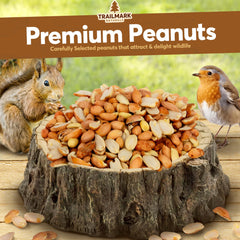 Unsalted raw peanuts for backyard wildlife feeding